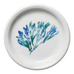 Fiesta Dinnerware - New Retired Coastal Bistro Coupe 7 1/4 Inch Salad Plate