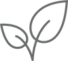 Lead Safe icon